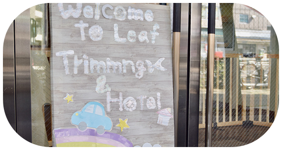 よくあるご質問